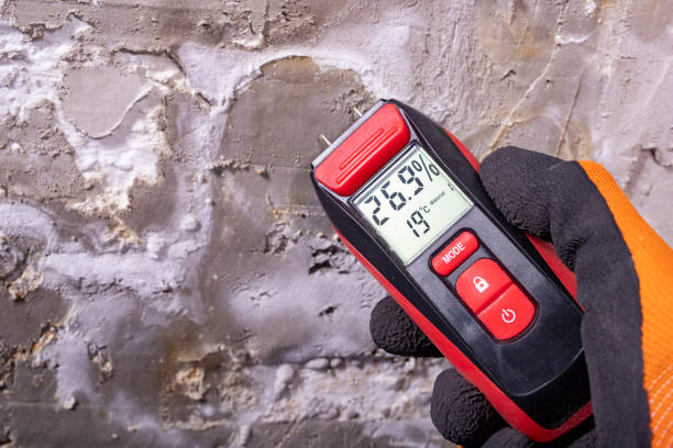 Best Industrial Mold Remediation in Oak Grove, TN